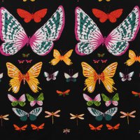 African Butterfly