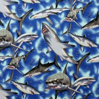 Shark!