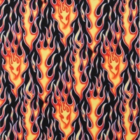 Wheels on Fire
